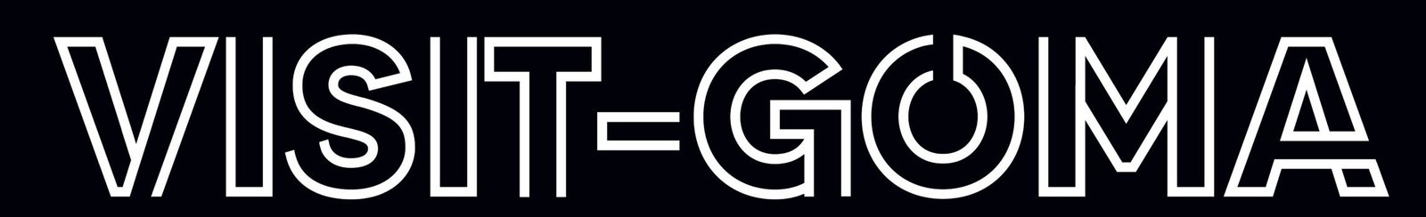 VG LOGO WHITE_095005